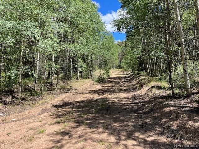 Lot 5655 Highlander Rd, Fort Garland, CO 81133