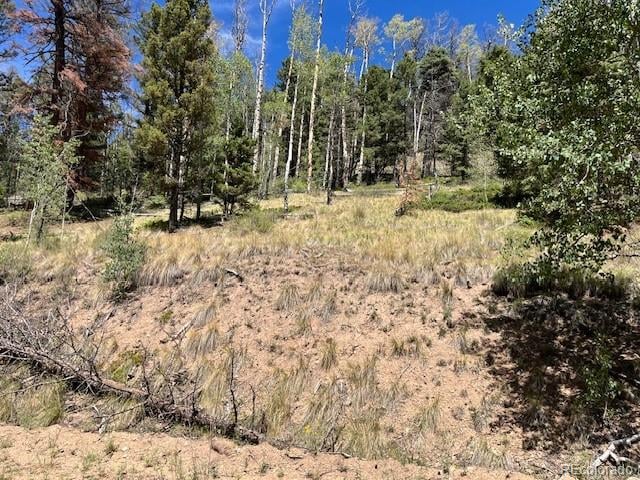 Lot 5655 Highlander Rd, Fort Garland, CO 81133