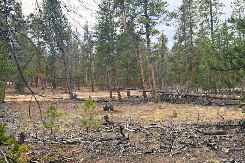 701 Cedar Dr, Leadville, CO 80461