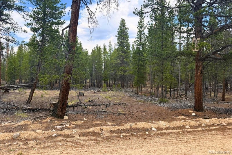 701 Cedar Dr, Leadville, CO 80461