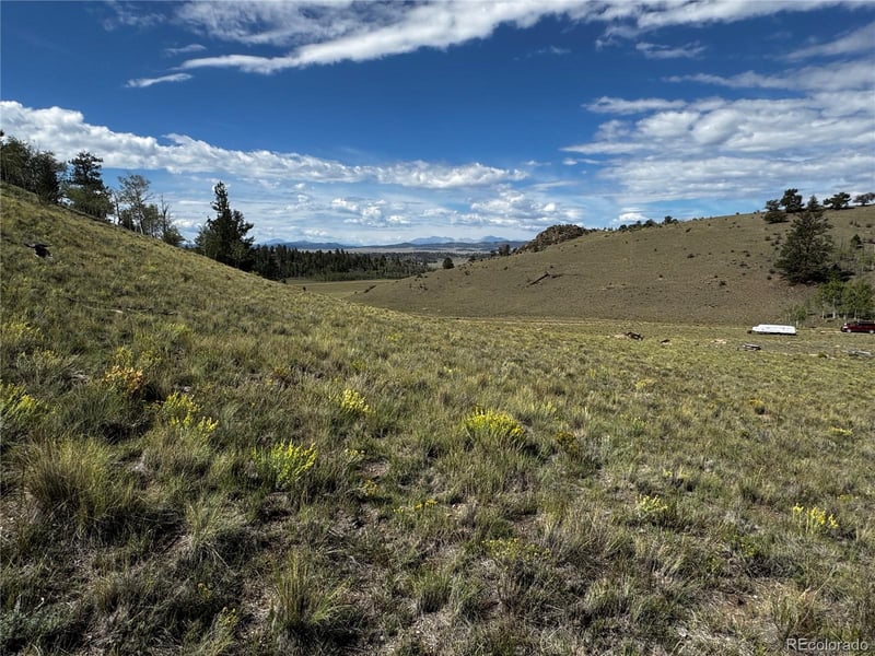 8390 Chickasaw Rd Lot 1755, Hartsel, CO 80449