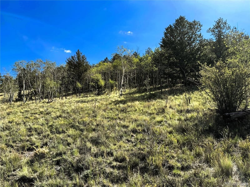 8390 Chickasaw Rd Lot 1755, Hartsel, CO 80449