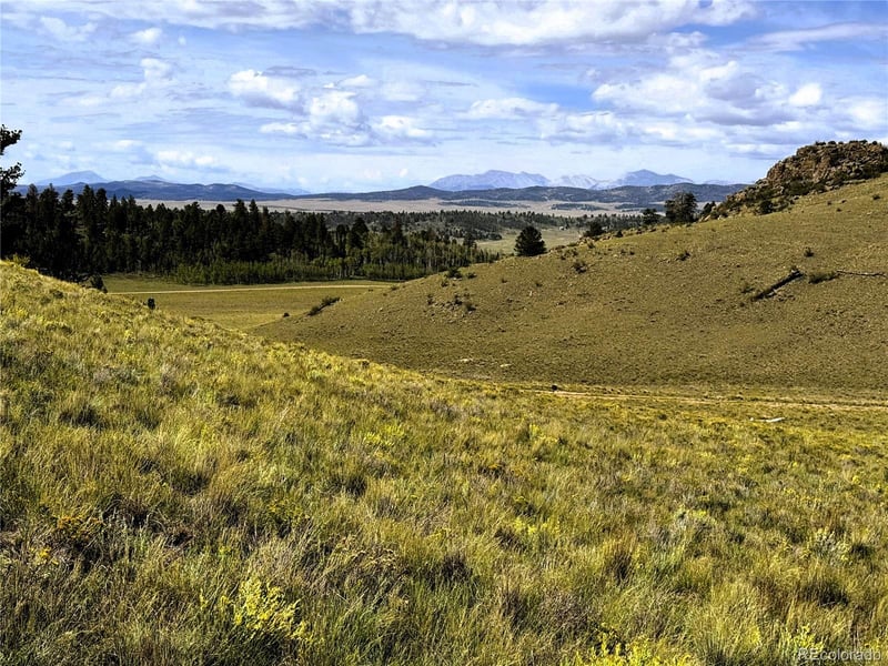 8390 Chickasaw Rd Lot 1755, Hartsel, CO 80449
