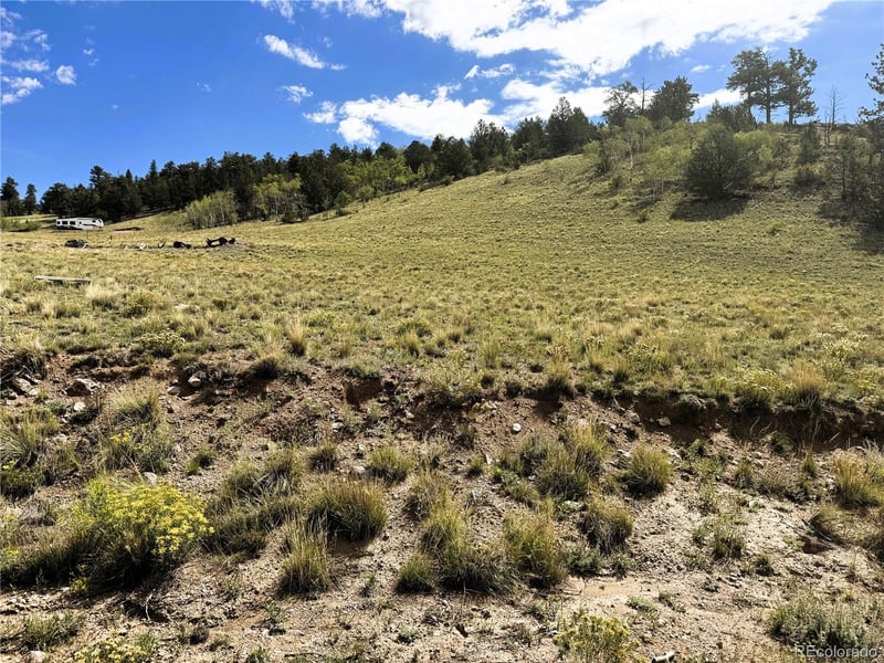 8390 Chickasaw Rd Lot 1755, Hartsel, CO 80449