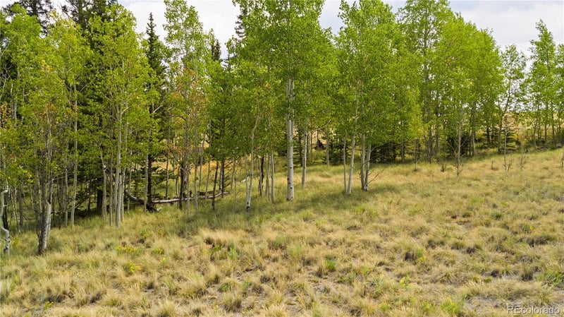 540 Turk Pony Way, Como, CO 80432