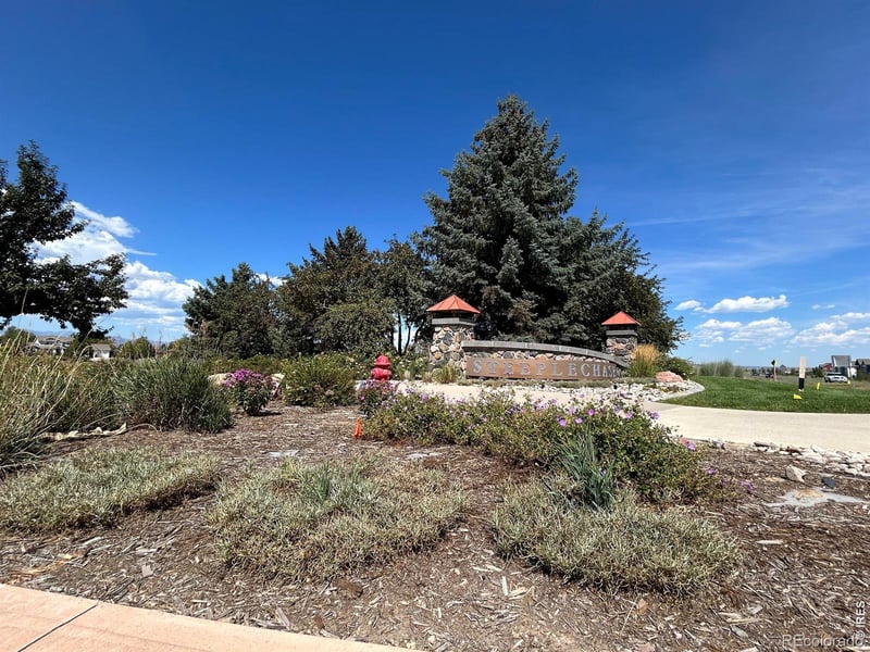 8728 Longs Peak Cir, Windsor, CO 80550