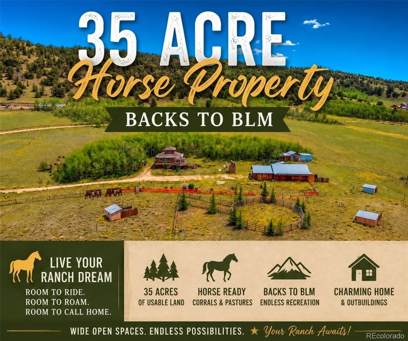 474 Gap Rd, Fairplay, CO 80440