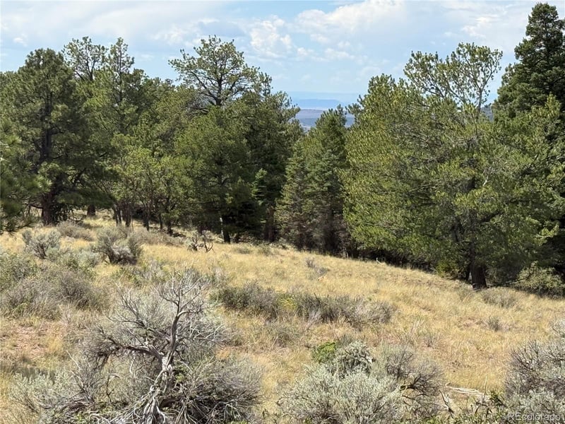 Lot 291 Kline Ln Lot 291, Fort Garland, CO 81133