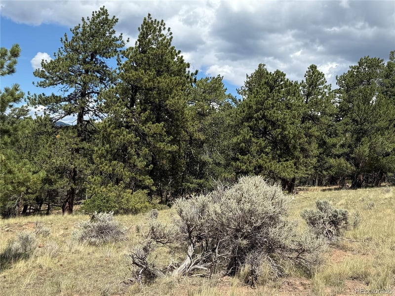 Lot 291 Kline Ln Lot 291, Fort Garland, CO 81133