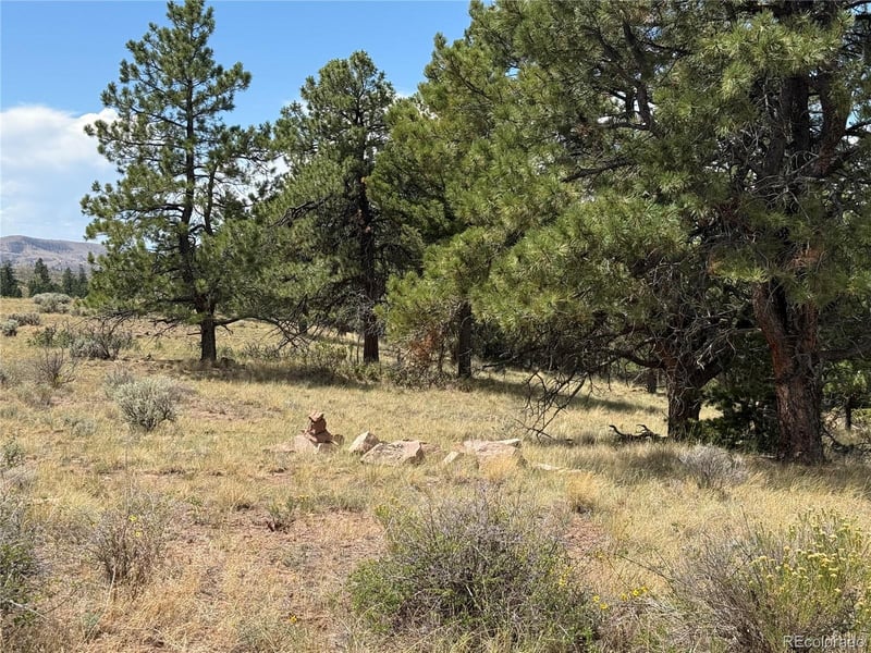 Lot 291 Kline Ln Lot 291, Fort Garland, CO 81133