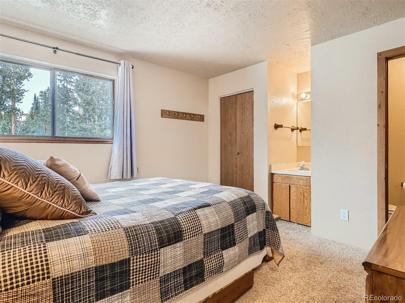 9800 Ryan Gulch Rd #302, Silverthorne, CO 80498