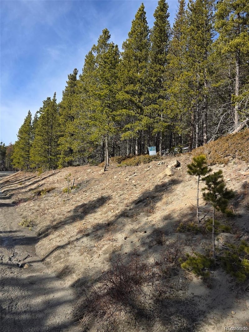 Lot 680 Alice Rd Lot 680, Idaho Springs, CO 80453