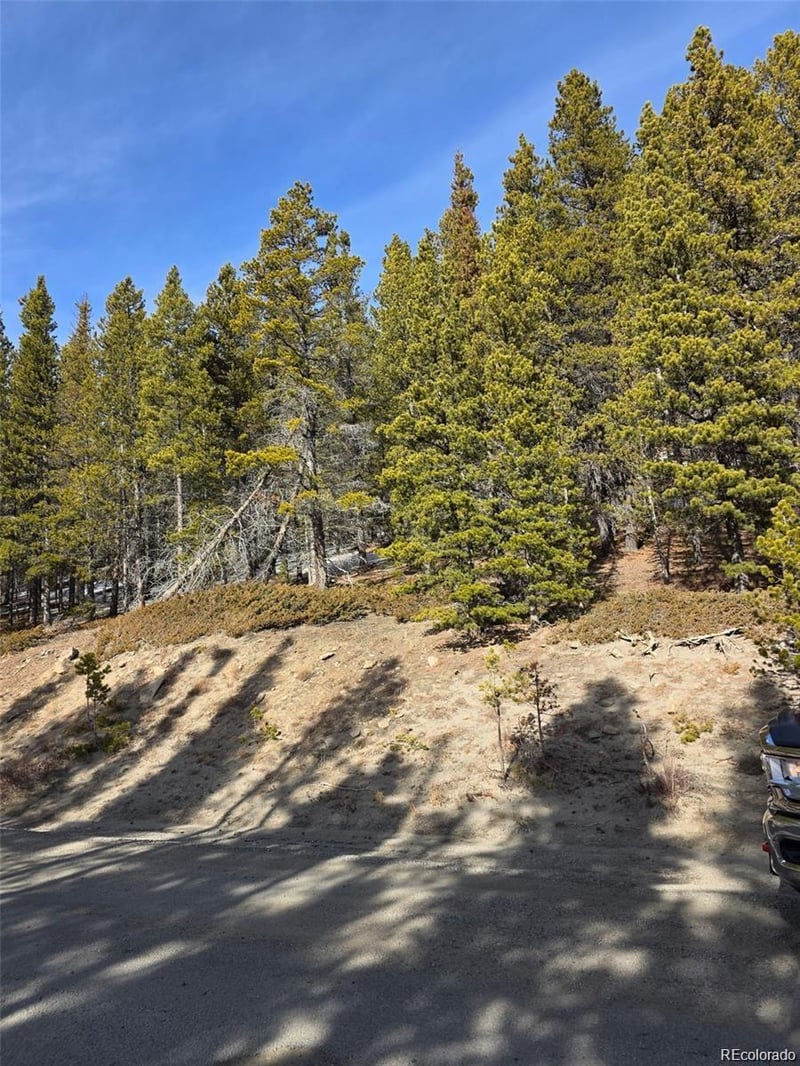 Lot 680 Alice Rd Lot 680, Idaho Springs, CO 80453