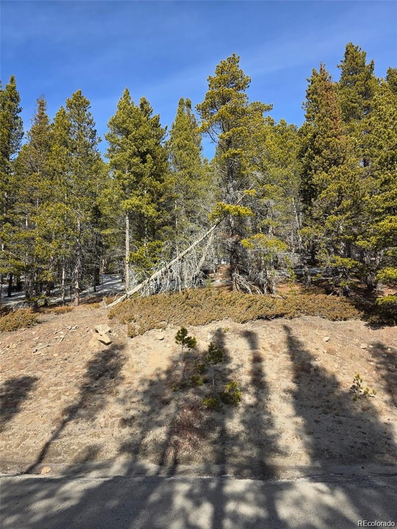 Lot 680 Alice Rd Lot 680, Idaho Springs, CO 80453