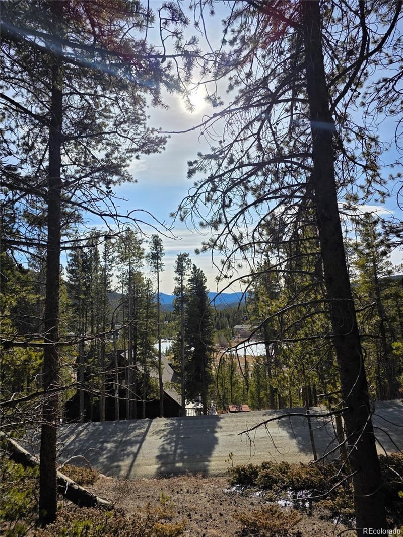 Lot 680 Alice Rd Lot 680, Idaho Springs, CO 80453