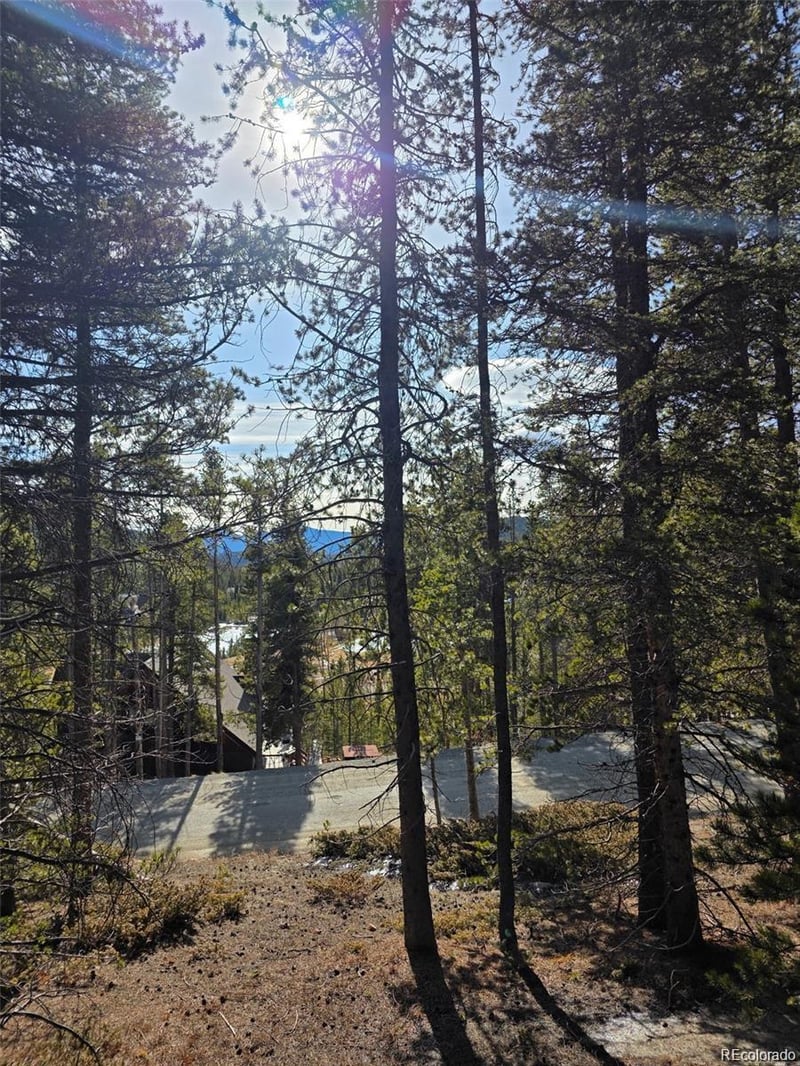 Lot 680 Alice Rd Lot 680, Idaho Springs, CO 80453