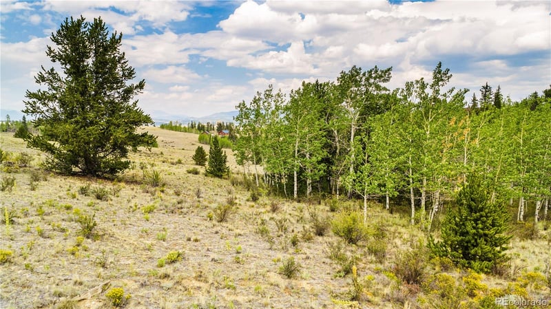 429 Turk Pony Way, Como, CO 80432
