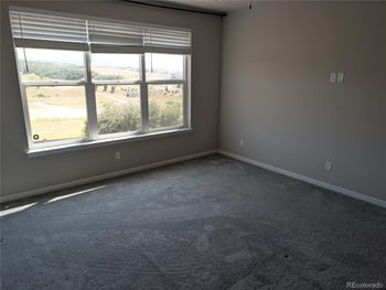 667 Simmental Loop, Castle Rock, CO 80104