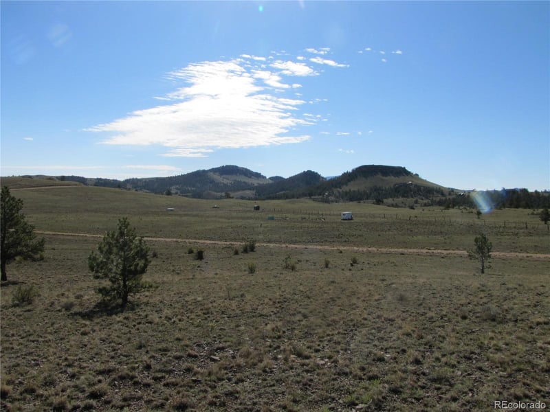 Lot 49 Quail Ct Lot 49, Hartsel, CO 80449
