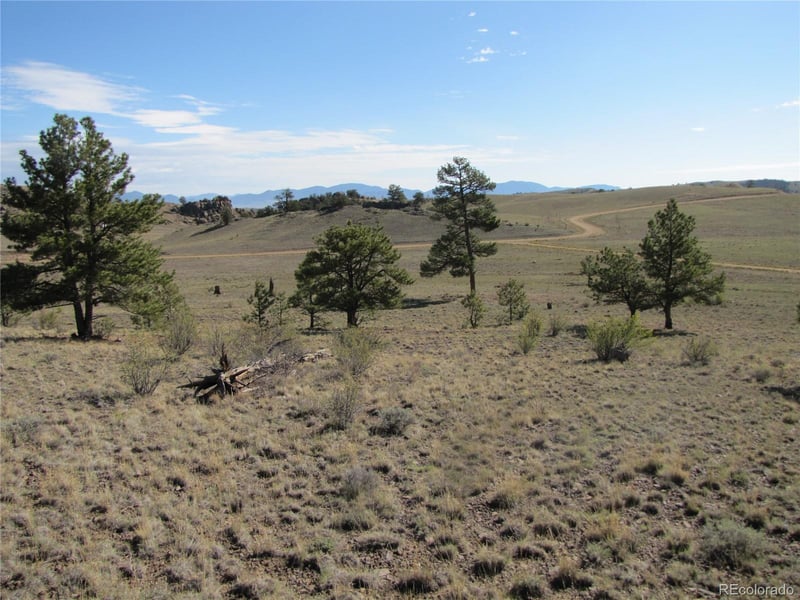 Lot 49 Quail Ct Lot 49, Hartsel, CO 80449