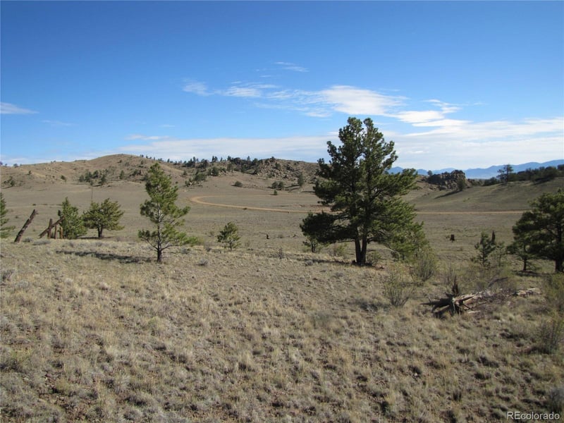 Lot 49 Quail Ct Lot 49, Hartsel, CO 80449