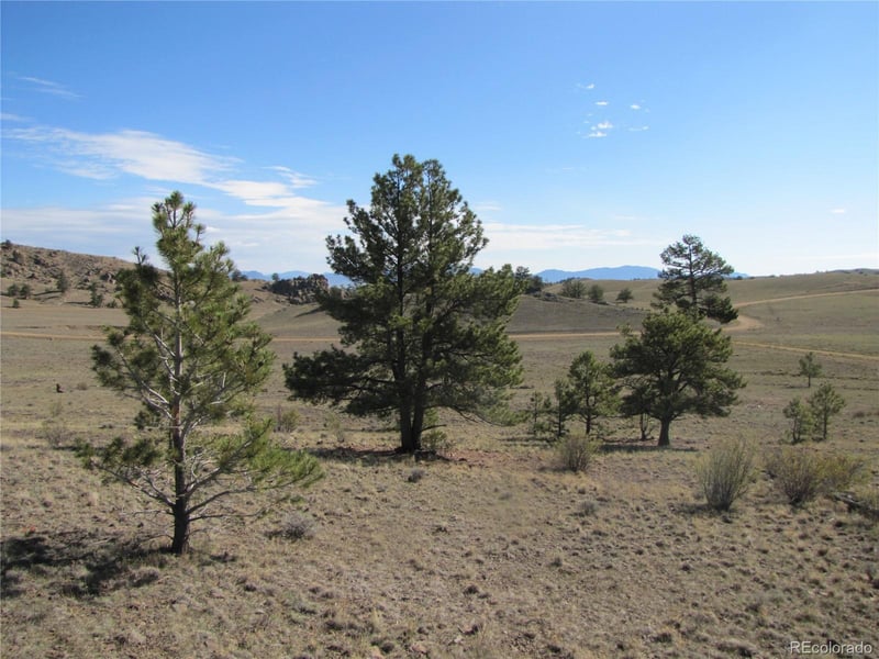 Lot 49 Quail Ct Lot 49, Hartsel, CO 80449