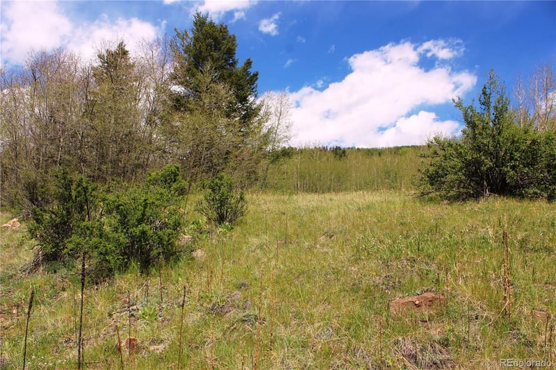 00 Quartz Hill Rd Lot 563, Central City, CO 80427