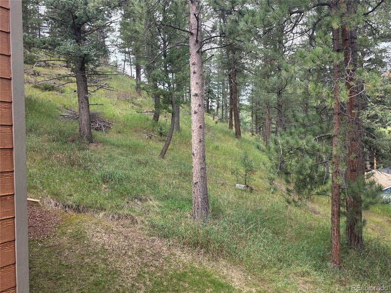 4897 Silver Spruce Ln, Evergreen, CO 80439