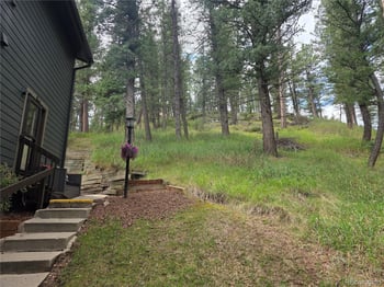 4897 Silver Spruce Ln, Evergreen, CO 80439