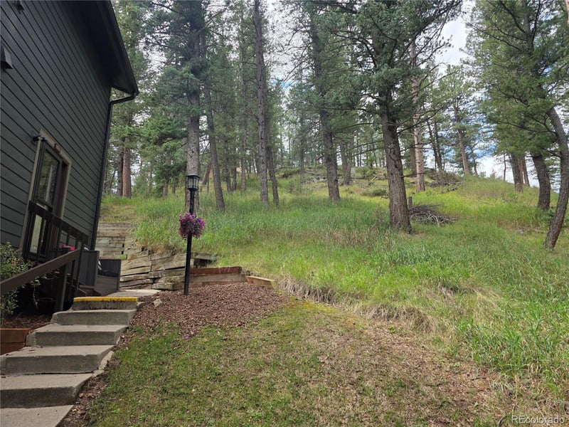 4897 Silver Spruce Ln, Evergreen, CO 80439