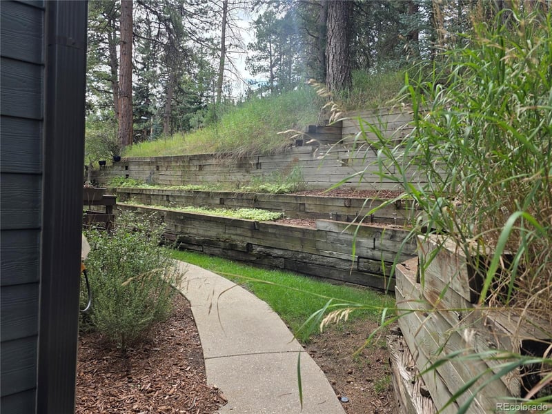4897 Silver Spruce Ln, Evergreen, CO 80439