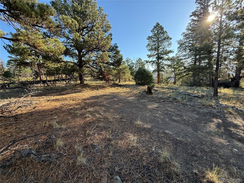 Lot 164 Tahmoush Ln Lot 164, Fort Garland, CO 81133