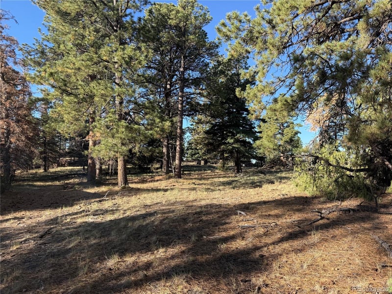 Lot 164 Tahmoush Ln Lot 164, Fort Garland, CO 81133