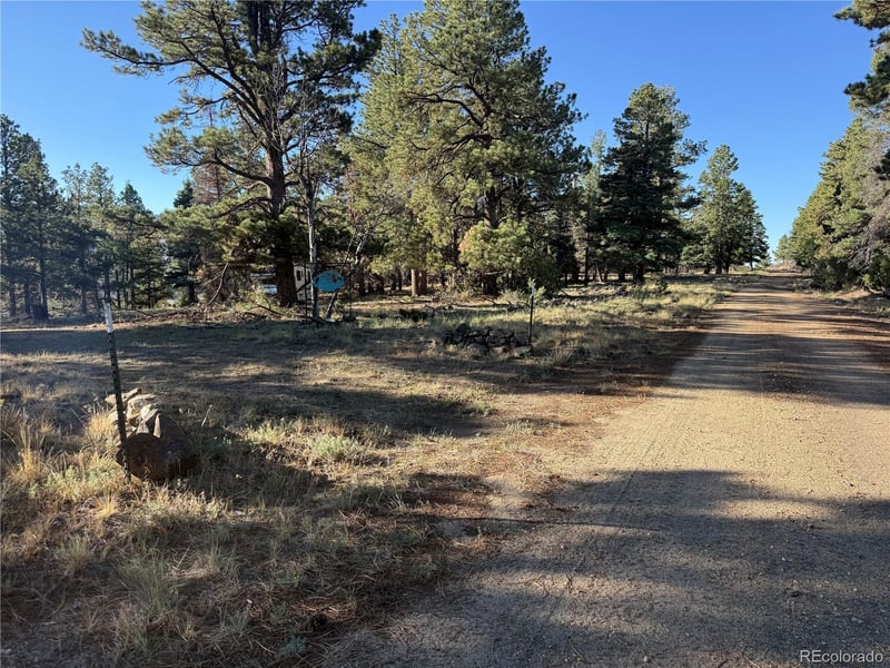 Lot 164 Tahmoush Ln Lot 164, Fort Garland, CO 81133