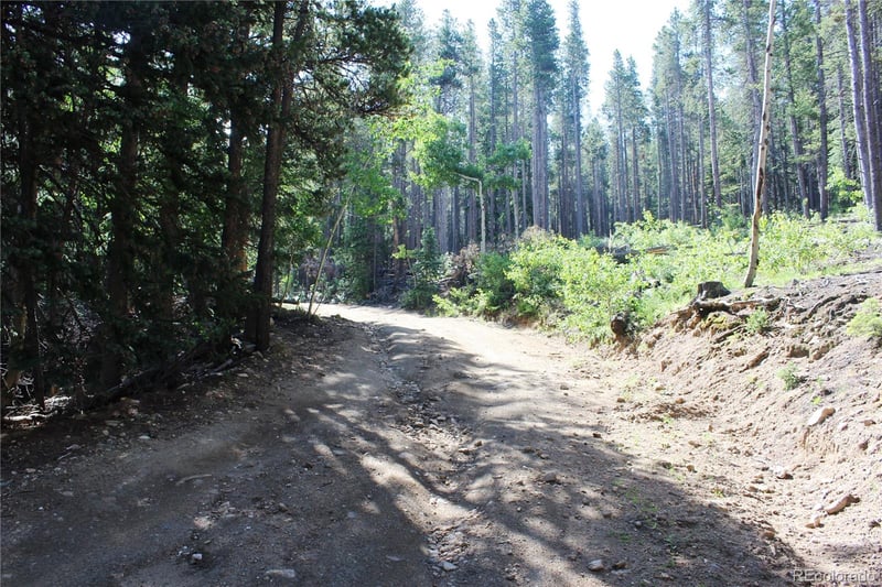 Lot 31 Sunflower Rd, Black Hawk, CO 80422