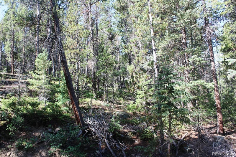 Lot 31 Sunflower Rd, Black Hawk, CO 80422