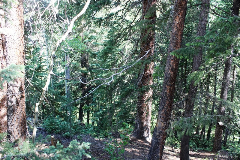 Lot 31 Sunflower Rd, Black Hawk, CO 80422