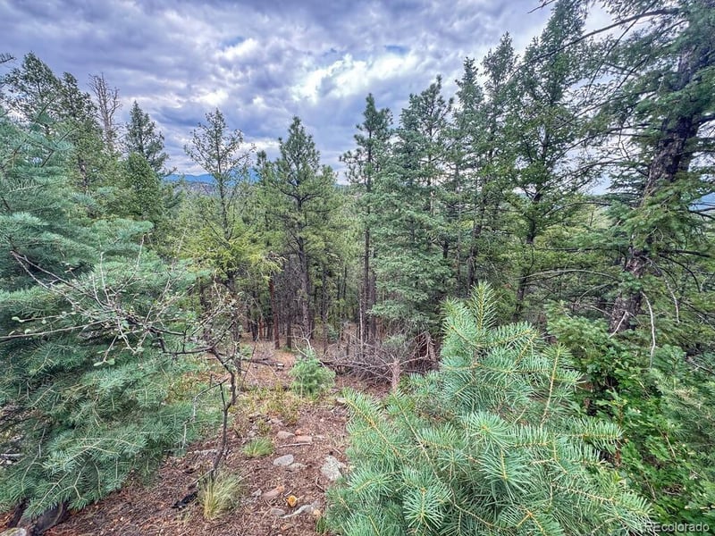 11491 Chinook Dr, Weston, CO 81091