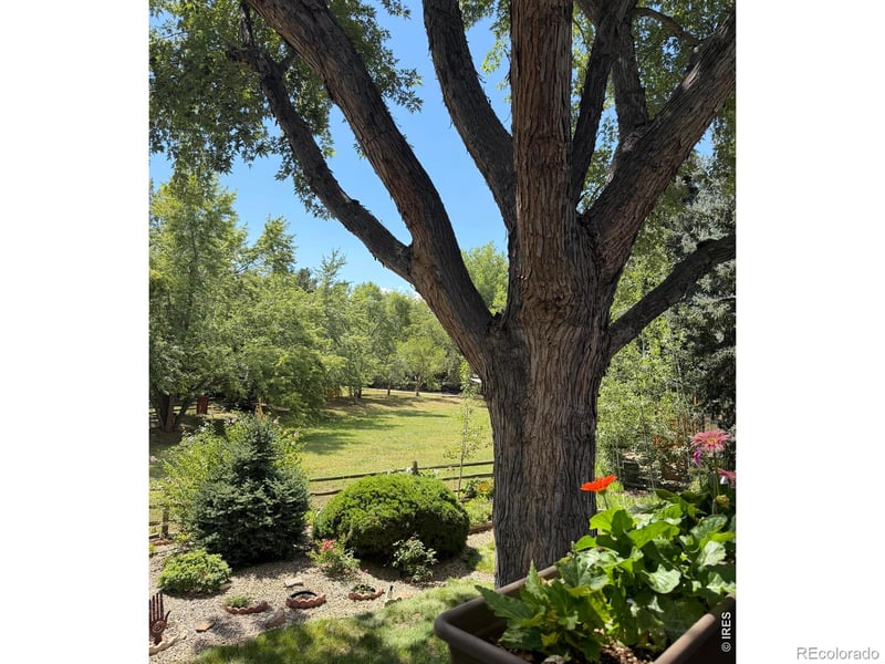 7368 Dry Creek Rd, Niwot, CO 80503