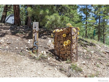415 Upper Travis Gulch Rd, Black Hawk, CO 80422