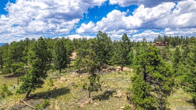 2075 Pikes Peak Dr, Florissant, CO 80816