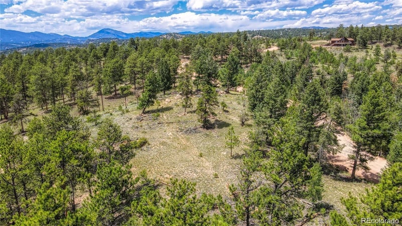 2075 Pikes Peak Dr, Florissant, CO 80816