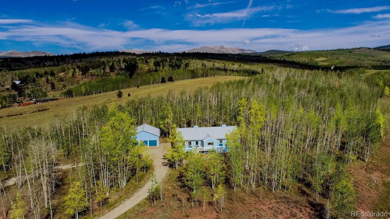 331 Canthook Ln, Fairplay, CO 80440