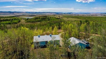 331 Canthook Ln, Fairplay, CO 80440