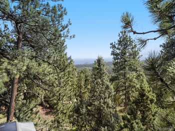 479 Doe Cir, Bailey, CO 80421