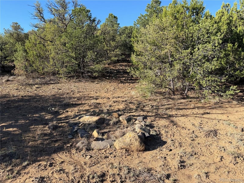 Lot 141 River Ridge Ranch, Walsenburg, CO 81089