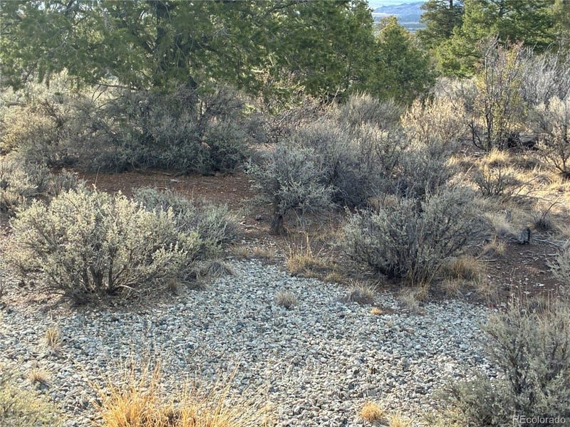 5AC Kermit Rd LOT 5011, San Luis, CO 81152