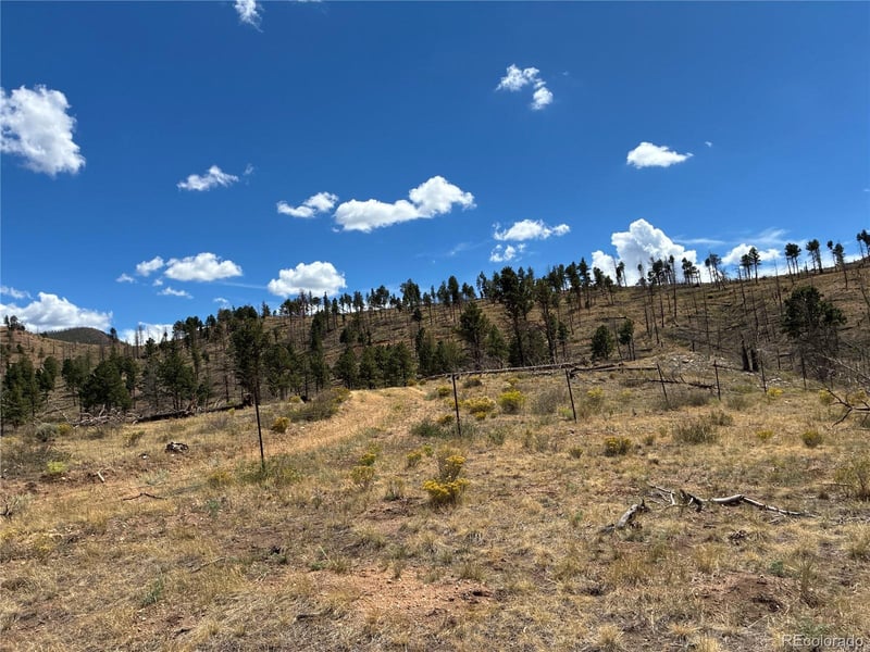 5AC De Montalmbert Rd Lot 7745, Fort Garland, CO 81133