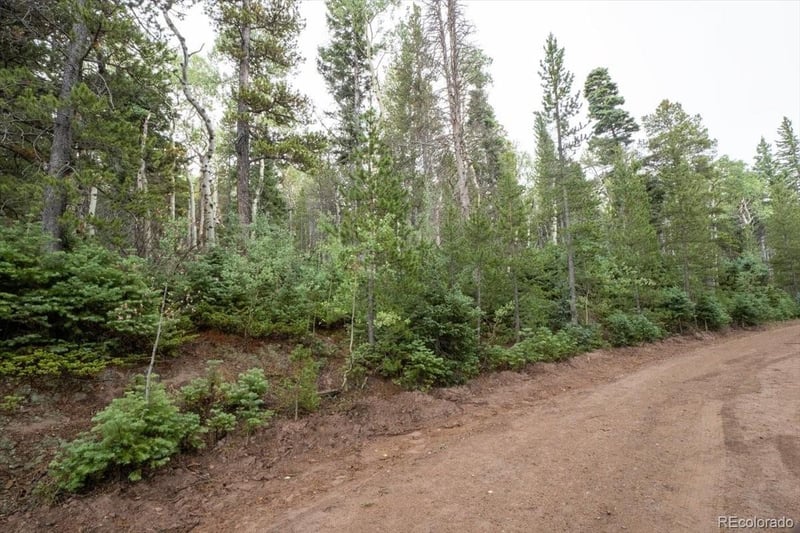 Lot 2260 Speciale Pl Lot 2260, Fort Garland, CO 81133