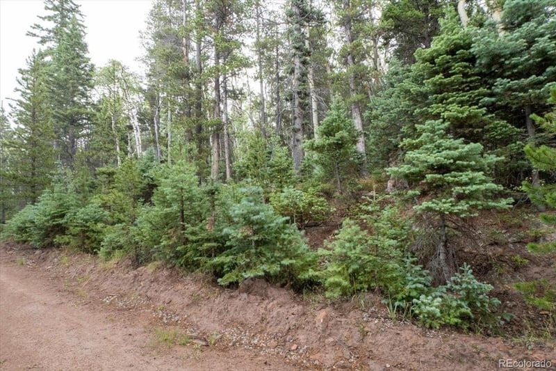 Lot 2260 Speciale Pl Lot 2260, Fort Garland, CO 81133
